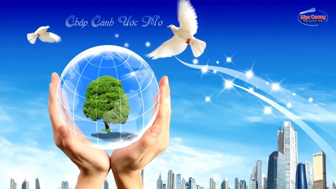KẾ HOẠCH Tổ chức Lễ trao học bổng "Chắp cánh ước mơ" (Kỳ 122)